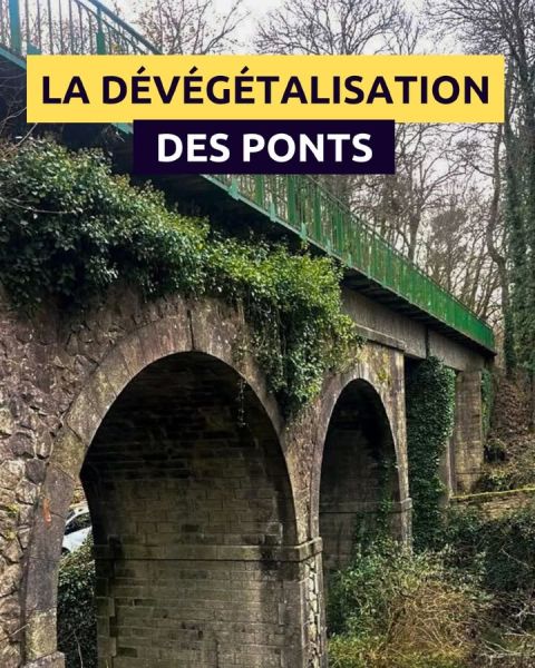 image facebook